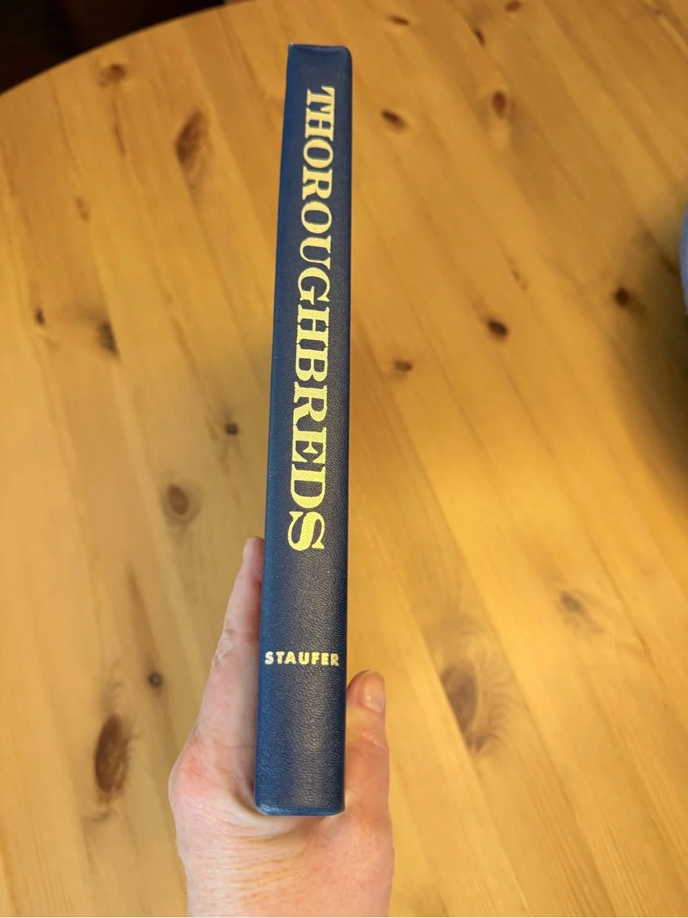 Thoroughbreds New York Central System